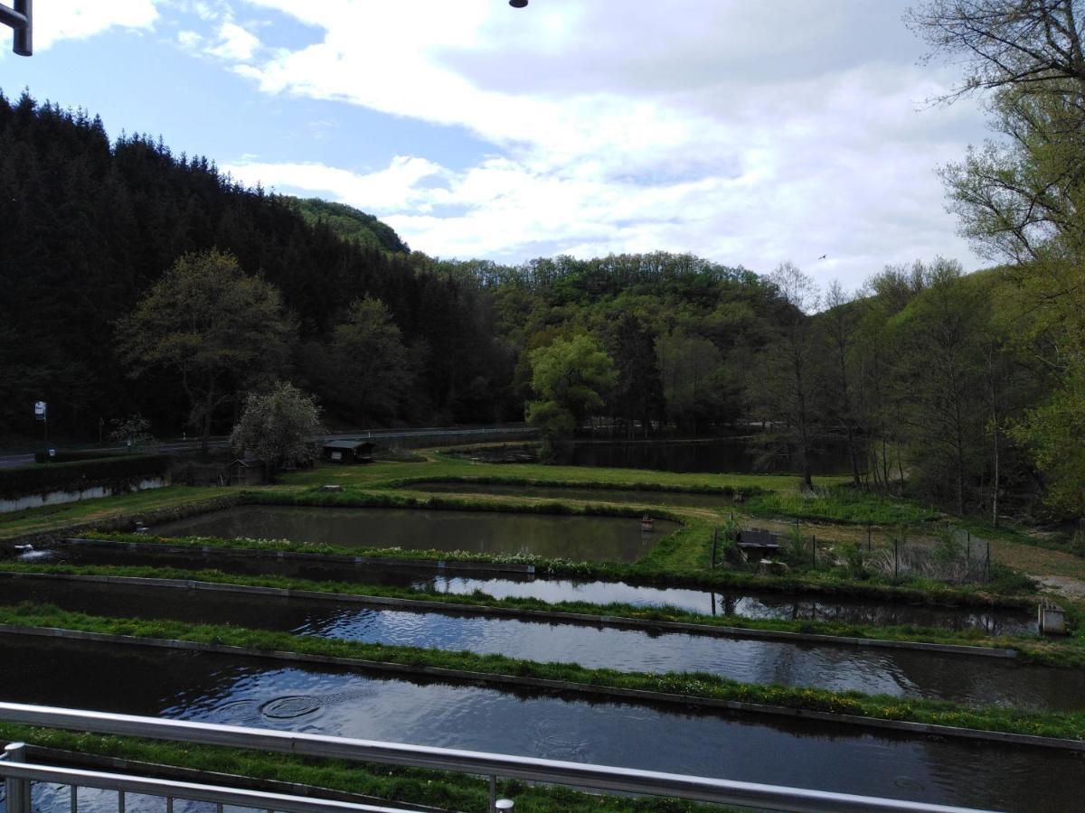 Zimmer Ohne Fruehstueck In Der Forellenzucht Burgen  Bagian luar foto
