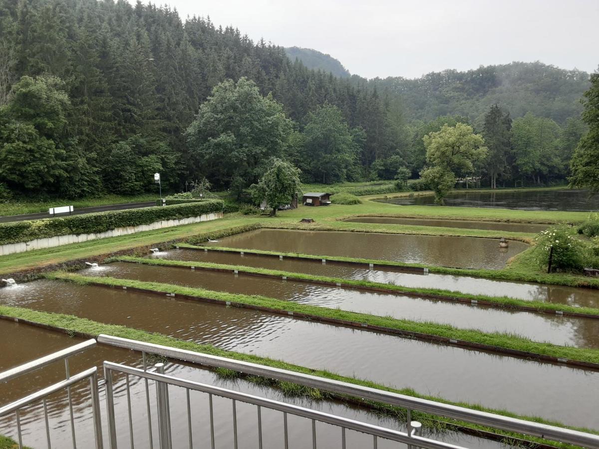 Zimmer Ohne Fruehstueck In Der Forellenzucht Burgen  Bagian luar foto